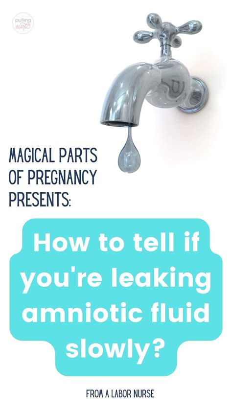 slow leak of amniotic fluid|How to tell if your water is leaking slowly